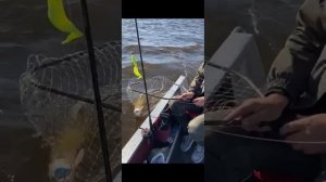 рыбалка в Приобье 18.09-21.09 2025