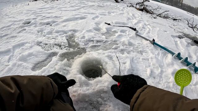 Ледяной Болт.Бастующий Окунь Котовского Залива.Открыл Лёд 2025. смотреть онлайн