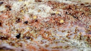 Мясо в микроволновке