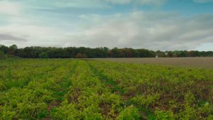 "Ферма Кларксона", 1.03 (AlexFilm)