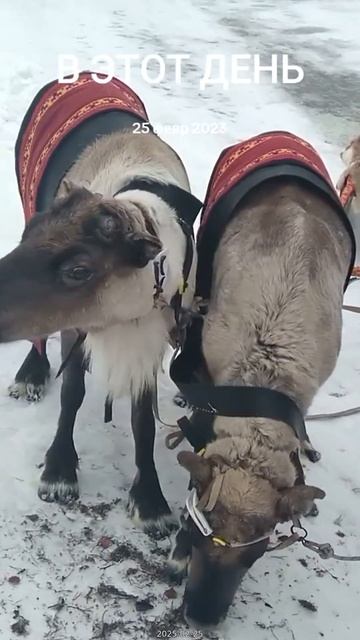 2025-02-25_7475324134197628168_1080p [clean_gentle_4]