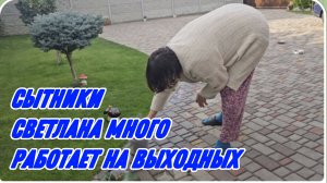 САМВЕЛ АДАМЯН, СЫТНИКИ, СВЕТЛАНА МНОГО РАБОТАЕТ НА ВЫХОДНЫХ..