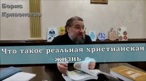 Что такое реальная христианская жизнь. Протоиерей Борис Кривоногов