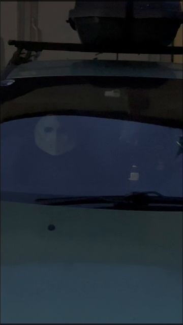 Маска на подголовнике авто отпугивает хулиганов?!