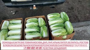 05-10-2025 г Цены сегодня рынок Копани Херсонская область.