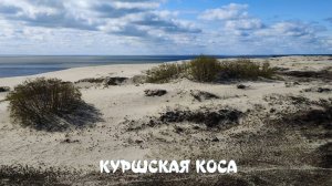 Калининград. Куршская коса