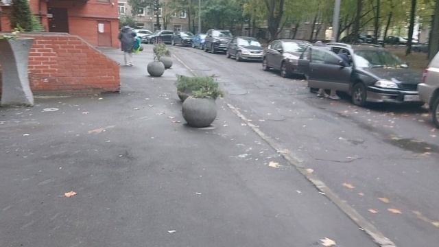Московская осень .2025 дождь