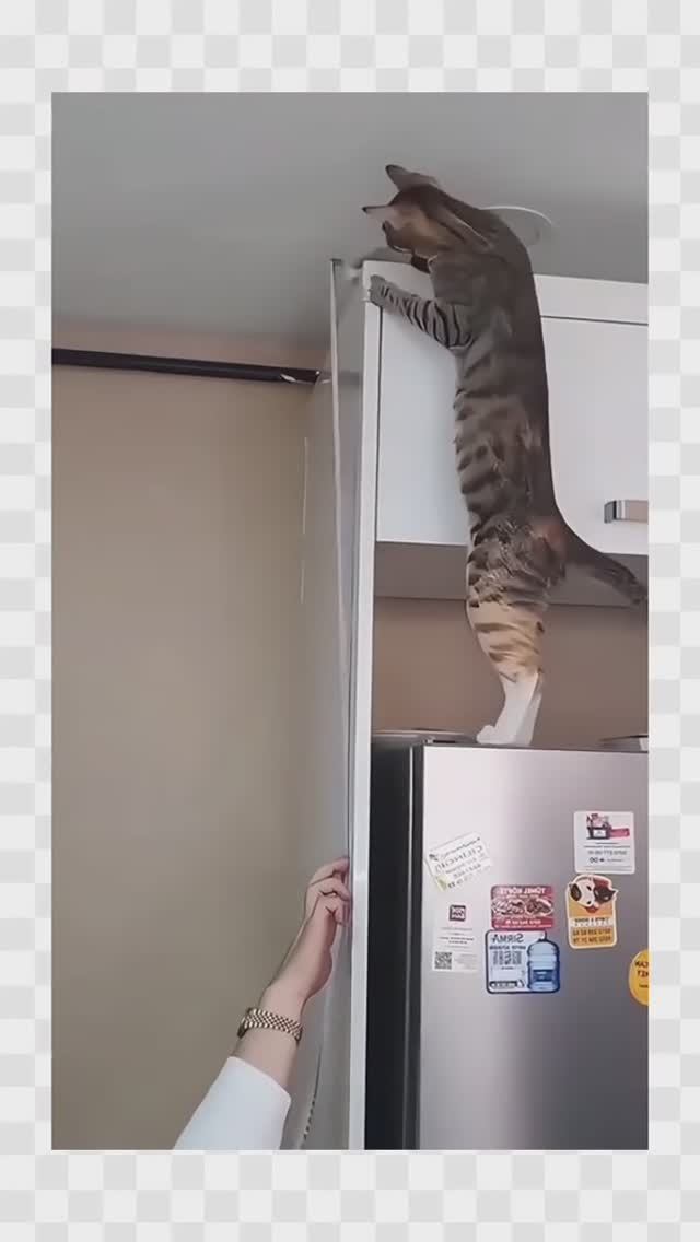 Помогаторы