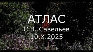 С.В. Савельев – Атлас