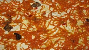 Лаваш с корейской морковкой и сыром