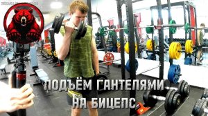 ПОДЪЁМ ГАНТЕЛЯМИ НА БИЦЕПС