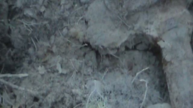 В ПОИСКАХ ТАНКА И ПРЕДМЕТОВ ВОЙНЫ #10 смотреть онлайн