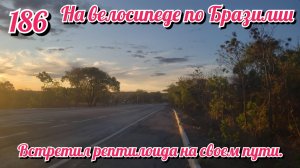 Встретил рептилоида на своем пути. На велосипеде по Южной Америке. День 186 Бразилия