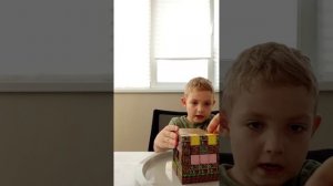 Дом из магнитных кубиков майнкрафт