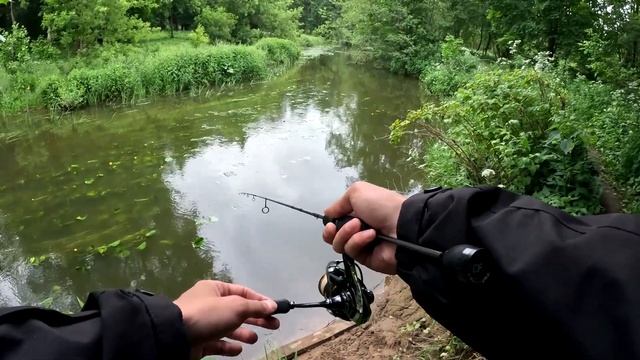 Мормышинг на Микро-речке. Ловля на Нимфы и Мушки. смотреть онлайн