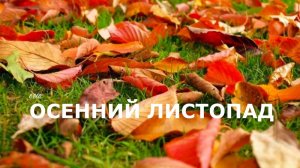 GEOS "Осенний листопад"