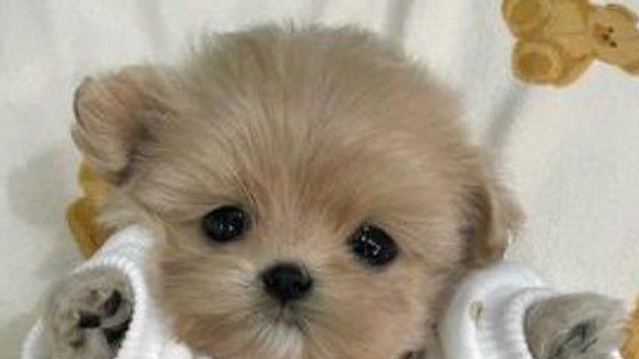 05-10-2025 смотреть онлайн