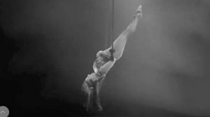 В Германии гимнастка упала с трапеции и разбилась во время циркового представления