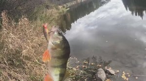 Рыбалка .НЕЛЕГОК ПУТЬ К РЕКЕ,НО