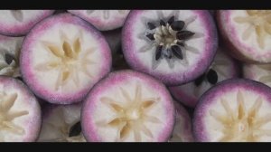 Фрукт звёздное яблоко  exotic fruit star apple