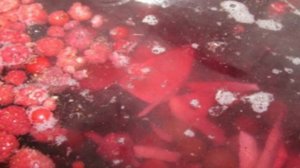 Компот из смородины и малины