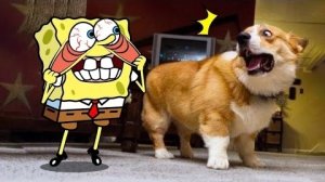 Мультики для детей. Яркие Мультики  . Детские мультики для малышей смотреть