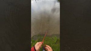 Неизвестные находки