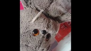 мини фильм. часть 1