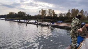 5.10.25 РК Савельево утреннее зарыбление форелью