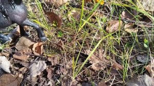 клип"Мой демон 🔥"