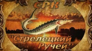 04.10.2025. ОБСТАНОВКА НА РУЧЬЕ