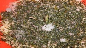 Маффины с зеленью и сыром