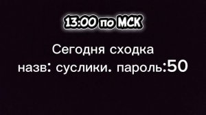СХОДКА 13:00 по МСК