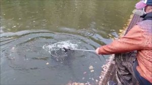 Кто-то ловит на железо, а кто-то на резину... Клёвое место, Лосиный остров, спорт-зона.