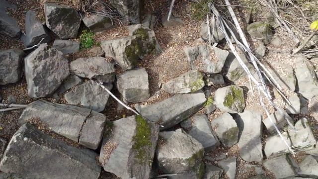 Слёзы принцессы..