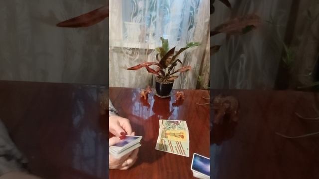Таро.Куда держит путь мужчина.