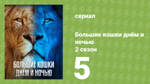 Большие кошки днём и ночью 2 сезон 5 серия «Новые начала» (документальный сериал, 2025)