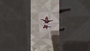 а у нас тут такое