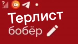 терлист бобёр