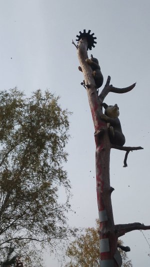 СКАЗКА НА БЕРЕГУ РЕКИ