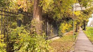 велопрогулка по клину ч.2