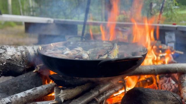 Биологическая станция Белого моря  Треска 2025  4к