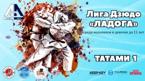 Т-1 III Этап Лига Дзюдо «ЛАДОГА» до 11 лет