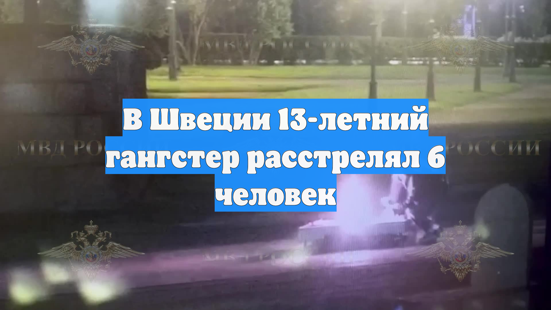 В Швеции 13-летний гангстер расстрелял 6 человек
