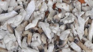 Лапша Удон с курицей и овощами