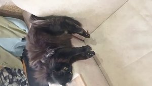 Соня даже уже не знает как лечь