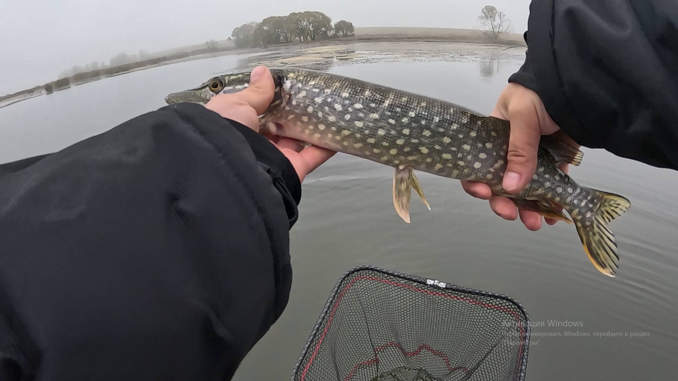 Рыбалка в октябре 2025. ЩУКА НА ВОБЛЕР  в октябре