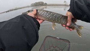 Рыбалка в октябре 2025. ЩУКА НА ВОБЛЕР  в октябре