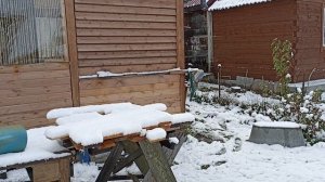 Зимняя малина. 05.10.26