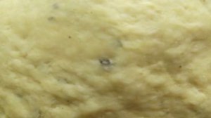 Лаваш без дрожжей